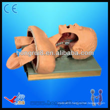 Advanced Electronic intubation medical manikin,Trachea model